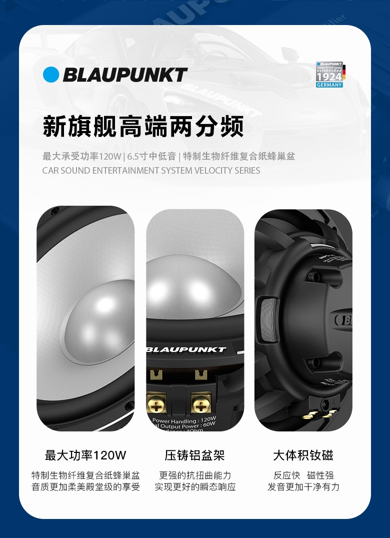 德國（藍(lán)寶BLAUPUNKT）MPS 2662 C38 新旗艦高端兩分頻